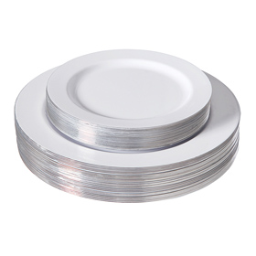 60 Piece Plastic Plates Silver,Premium plastic plates-10.25'' Dinner Plate,7.5'' dessert Plates (White/Silver)